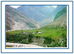 Chail,Chail Hill Station,Chail Hill Stations Tour