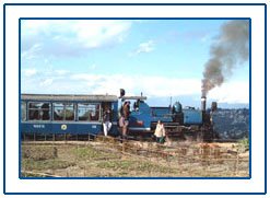 The Darjeeling Hill Railways,Darjeeling Hill Trains,Hill Trains in Darjeeling