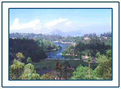 Kodaikanal Hill Station,Kodaikanal Hill Station Tour,Hill Stations in India