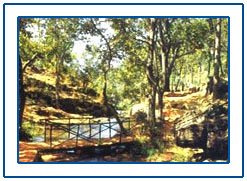 Pachmarhi,Pachmarhi Hill Station,Pachmarhi Hill Station Tour,Hill Resorts in Pachmarhi