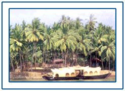 Kozhikode,Kozhikode Kerala,Kozhikode Kerala Tour,Kozhikode Kerala Travel India