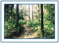 Thattekad Bird Sanctuary,Kerala Thattekad Bird Sanctuary,Thattekad Wildlife Sanctuary