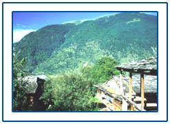 Kullu Manali Tour,Kullu Manali Honeymoon Tour
