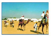 Camel Safari,Rajasthan Camel Safari,Desert Camel Safari Tour
