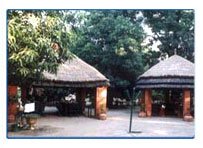 Maharani Bagh Orchard, Ranakpur