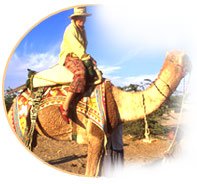 Rajasthan Package Tour