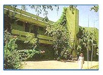 Bharatpur Forest Lodge,Forest Lodge in Bharatpur,Wildlife Resorts in Bharatpur Rajasthan