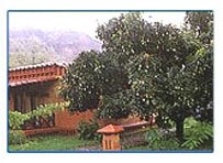 Claridges Corbett Hideway,Claridges Corbett Hideway Resort,Corbett Wildlife Resort