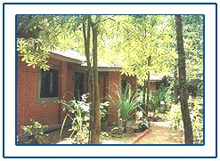 Kanha Jungle Lodge,Kanha Wildlife Resort,Forest Lodge in Kanha
